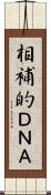 相補的ＤＮＡ Scroll