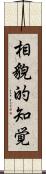 相貌的知覚 Scroll