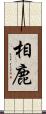 相鹿 Scroll