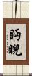 眄睨 Scroll