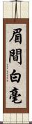 眉間白毫 Scroll