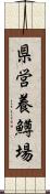 県営養鱒場 Scroll