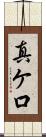 真ケ口 Scroll
