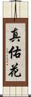 真佑花 Scroll