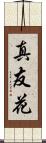 真友花 Scroll
