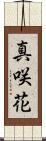 真咲花 Scroll