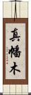 真幡木 Scroll