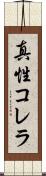真性コレラ Scroll