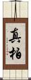 真柏 Scroll