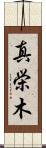 真栄木 Scroll