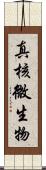 真核微生物 Scroll