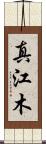 真江木 Scroll