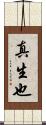 真生也 Scroll