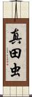 真田虫 Scroll