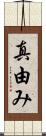 真由み Scroll