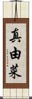 真由菜 Scroll
