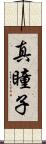 真瞳子 Scroll