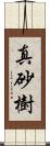 真砂樹 Scroll