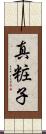 真粧子 Scroll