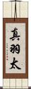 真羽太 Scroll