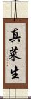 真菜生 Scroll