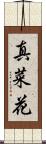 真菜花 Scroll