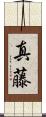 真藤 Scroll