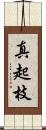 真起枝 Scroll