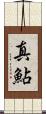 真鮎 Scroll