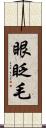 眼眨毛 Scroll