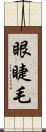 眼睫毛 Scroll