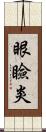 眼瞼炎 Scroll