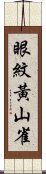 眼紋黃山雀 Scroll