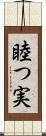 睦つ実 Scroll