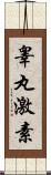 睾丸激素 Scroll