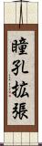 瞳孔拡張 Scroll