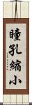 瞳孔縮小 Scroll