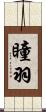 瞳羽 Scroll