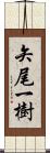 矢尾一樹 Scroll