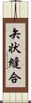 矢状縫合 Scroll