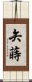 矢蒔 Scroll
