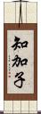 知加子 Scroll