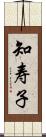 知寿子 Scroll