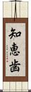 知恵歯 Scroll