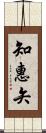 知惠矢 Scroll