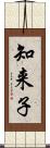 知来子 Scroll