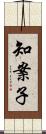 知案子 Scroll