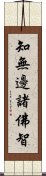 知無邊諸佛智 Scroll