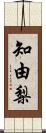 知由梨 Scroll