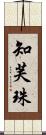 知芙珠 Scroll